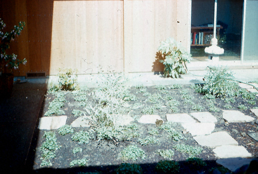 Box22 033 716 atrium 61